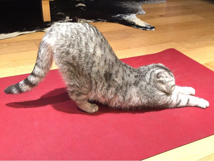 f28ba2545398d85d25c9d97efe