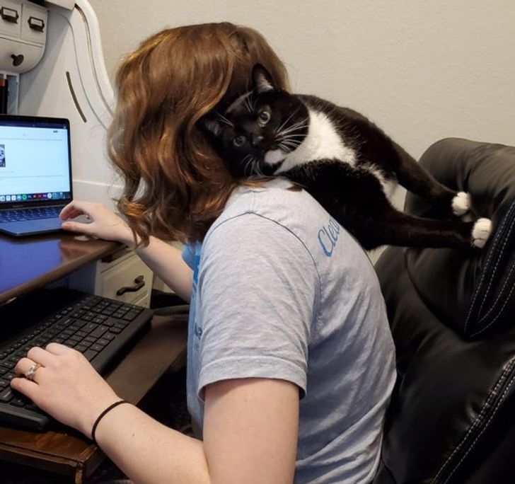 f28e105429a26a48cdcb094f19