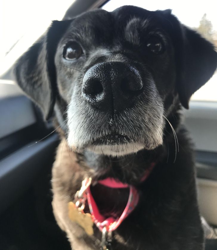 f2a03b5508803efa785acd2123