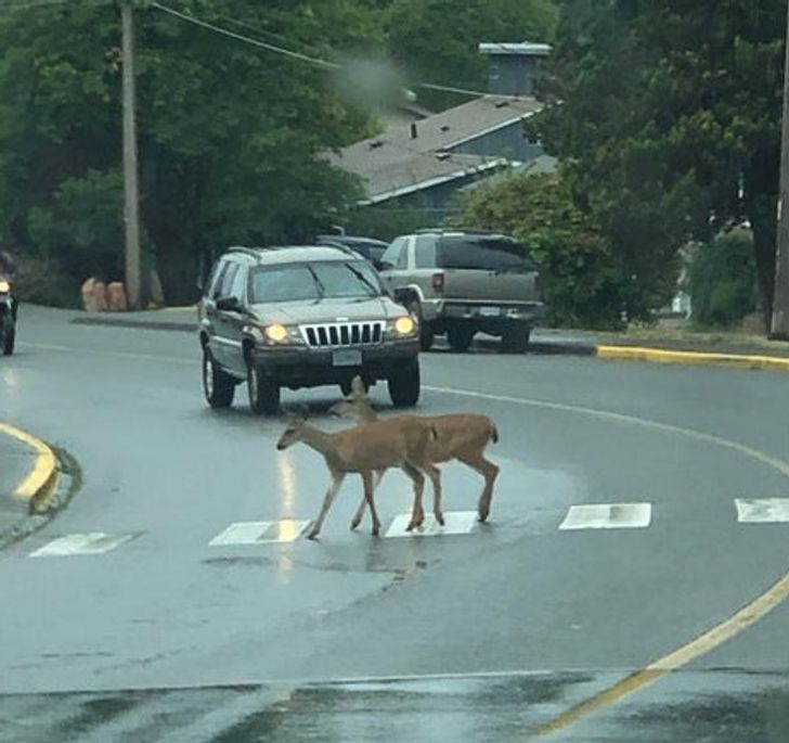 f2a3e95e67a9aea4f262adfc9a