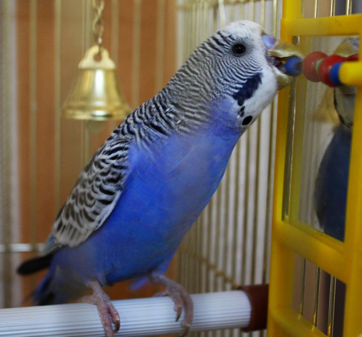 f2a584593fb001260195552d31