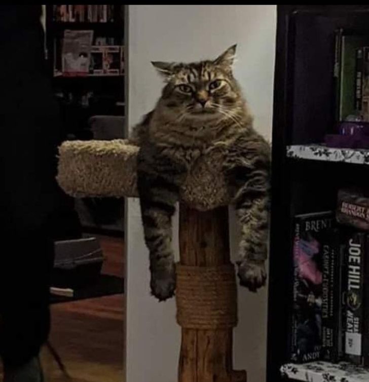 f2a7f65edf92a788a6dd4979b0 f2a7f65edf92a788a6dd4979b0