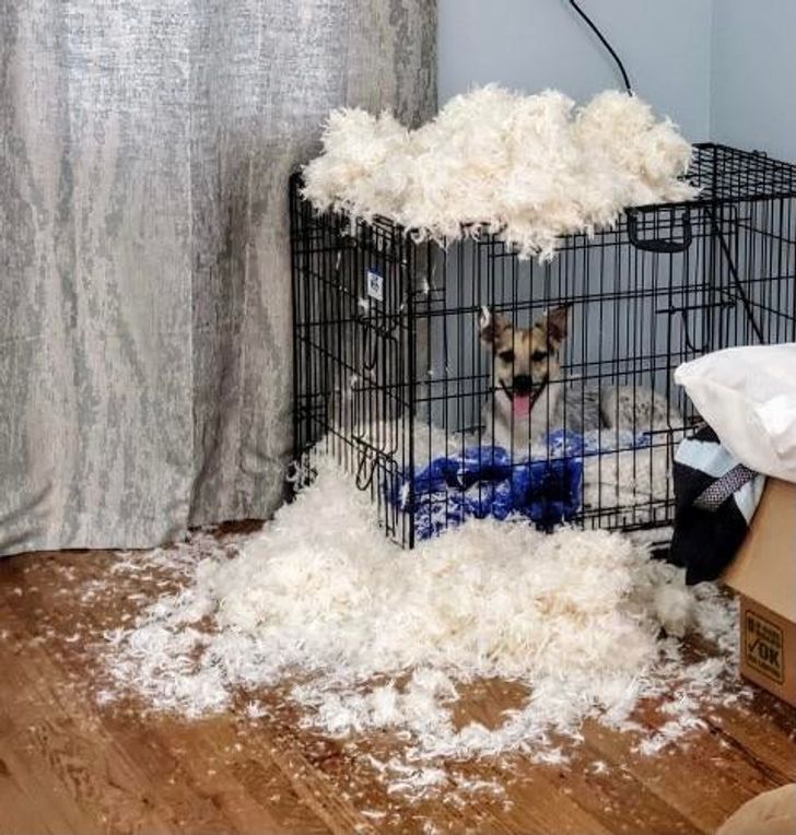 f2ae4f5ffabc9b4296dada0ace