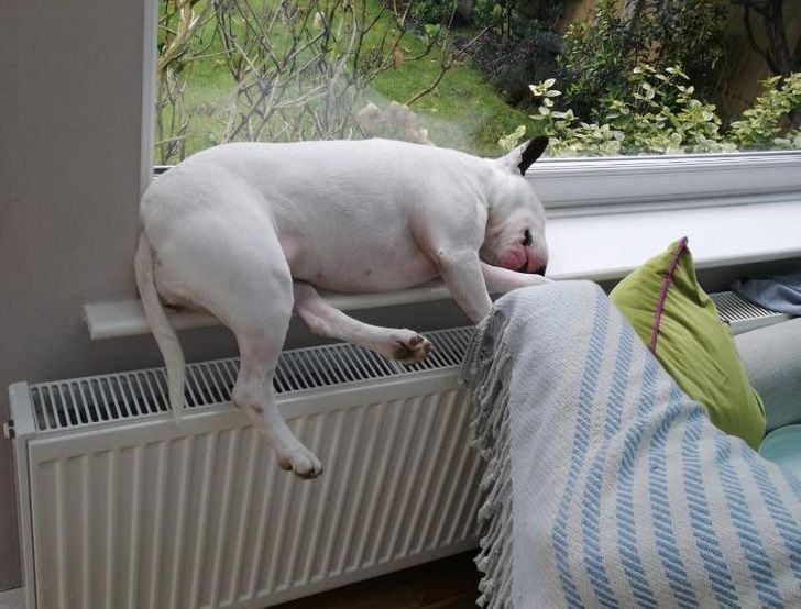 f2b8ae50d9b67d10cf1dd3fa1e