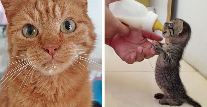 f2bfd95468a81ccb69ab20c3e4