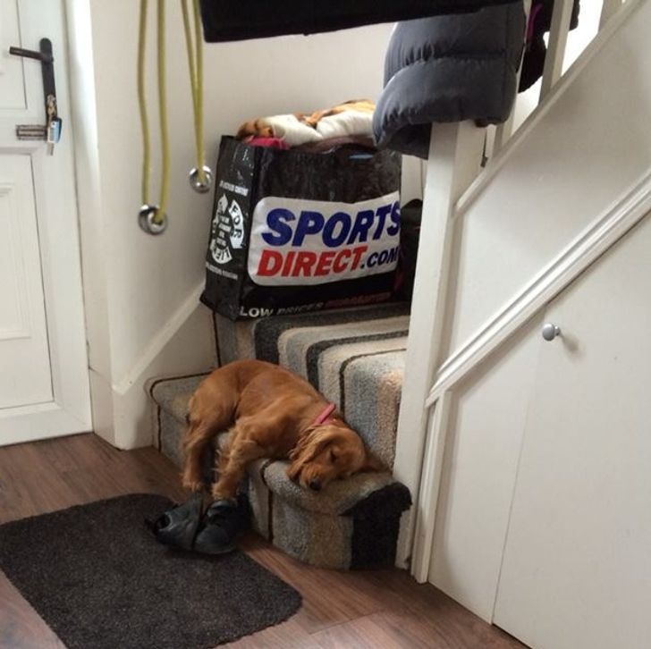 f2c2ee59e69915cb29c0da496d