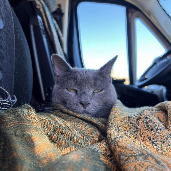 f2c9085885855a9065bed82006