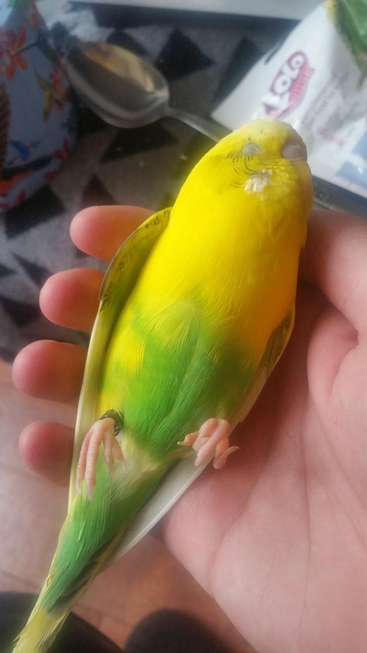 f2cbc35e75bfa644c0d6ea00aa