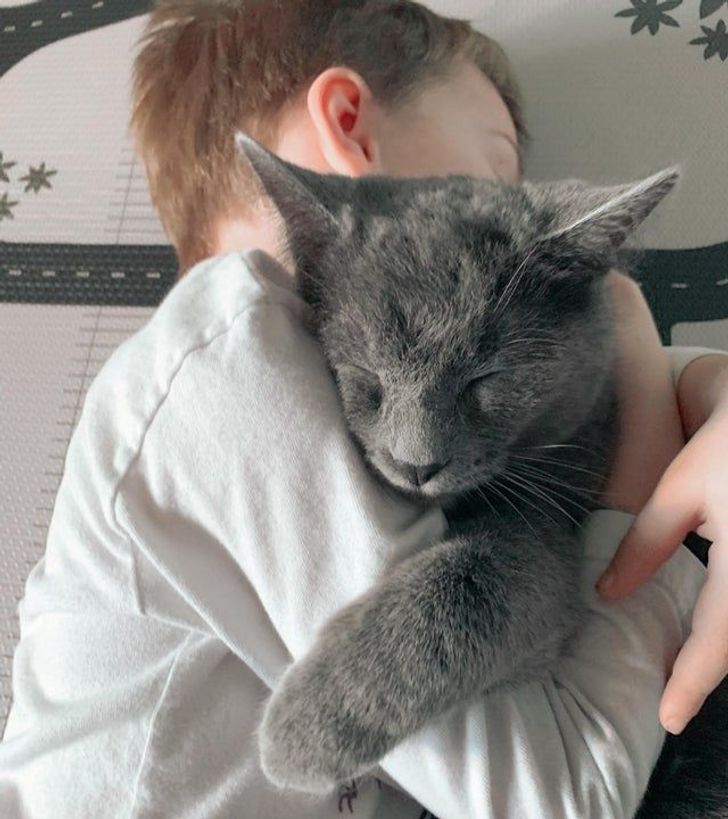 f2d36157e992bda2f6de3bbe15