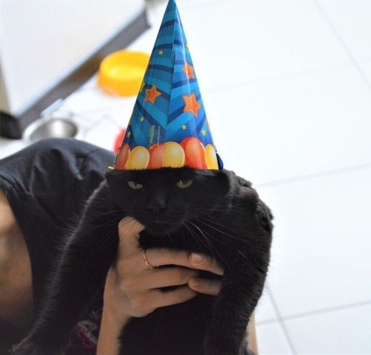 f2d476560b9e845ae0536d02ea