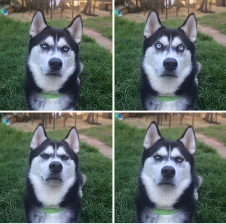 f2d6465a3bb94c40983199d8e0