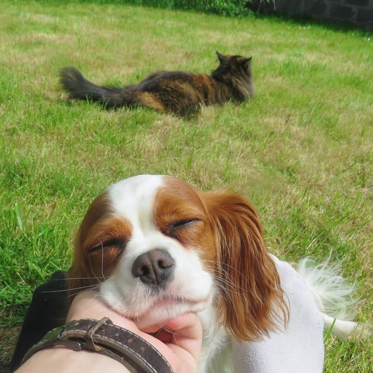 f2d83e5165b5e8df047f8161da