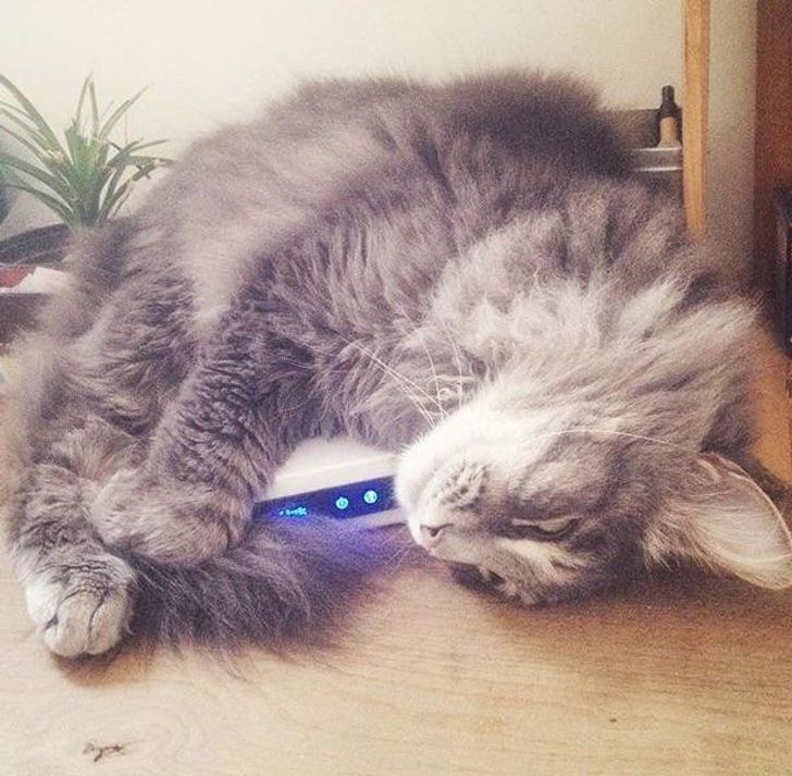 f2d942574c83e8f34cfe0f3464