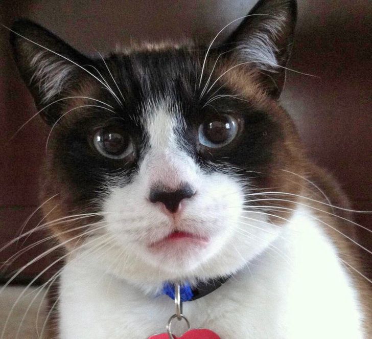 f2db4b55a698d8958c4368b9c2