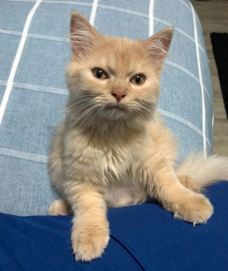 f2f6755eb6975a06f62a27e0d4