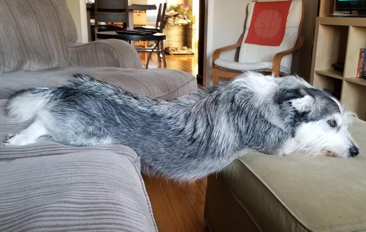 f307ff5621a14db056b2c9d4c9