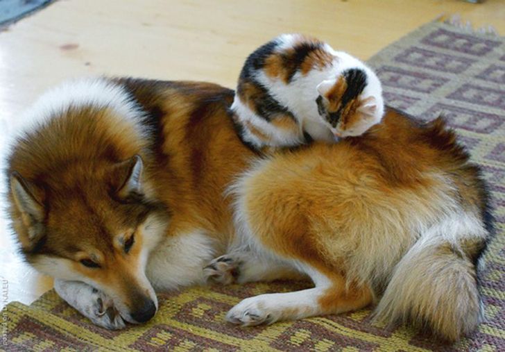 f313f95732b5379eecea1df5a1