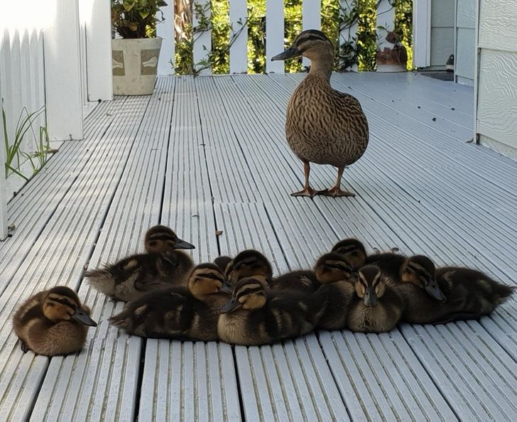 f315605357816001b03577897f