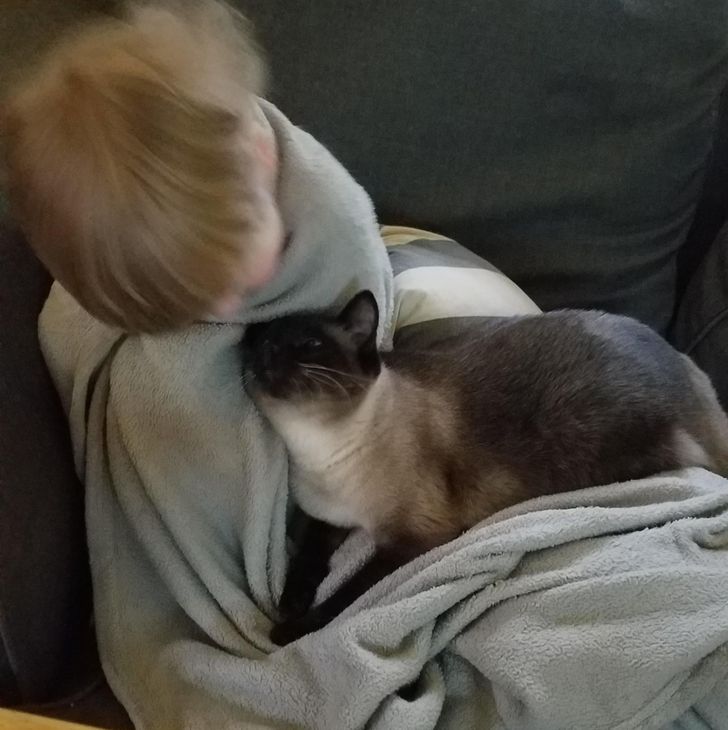 f3190751b2b06062edfc42309e