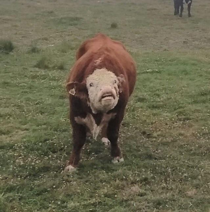 f3210c59eab4b351df82fa76a1 f3210c59eab4b351df82fa76a1