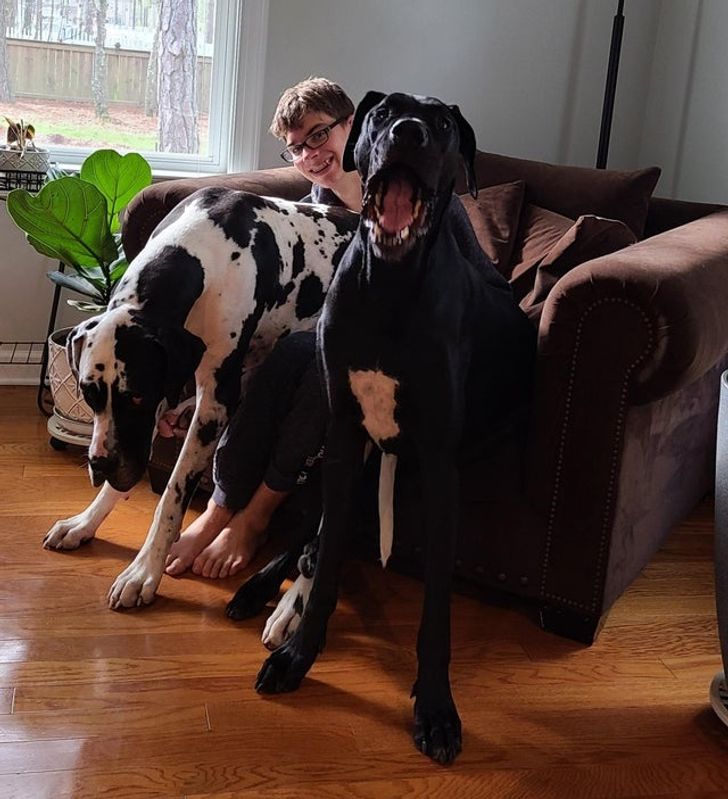 f3234b556a8bbdfbe6978c3506