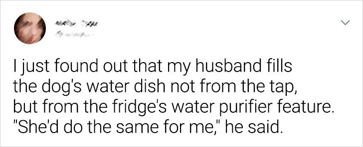 f32a8454988a658dce11773028