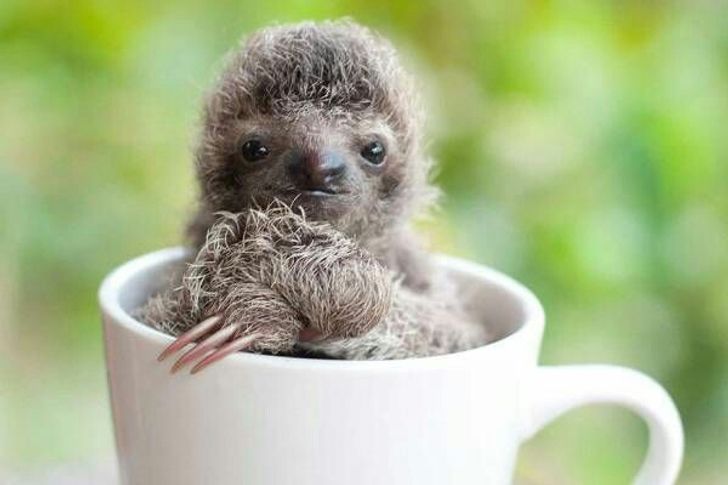 f32d895c758b94a9169d98d126