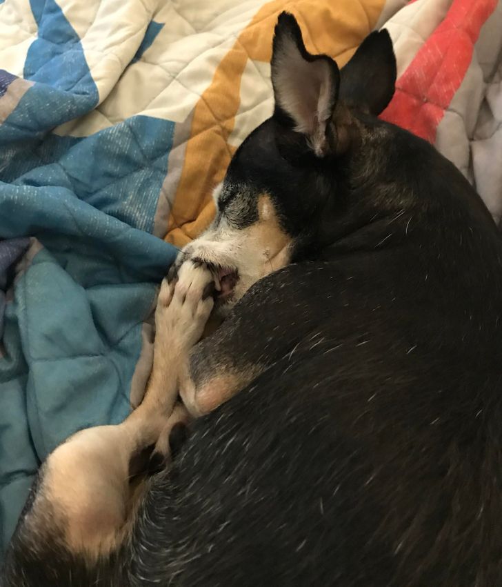 f341035b4e906a8ad61ce9a874