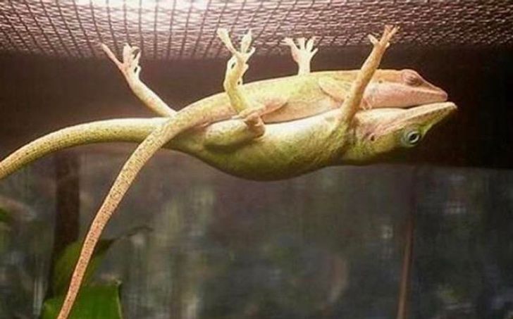 f3415a5213893b666a8e058ad1 f3415a5213893b666a8e058ad1