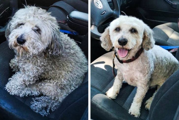 f3467d565db1f67b6a00eae4ba