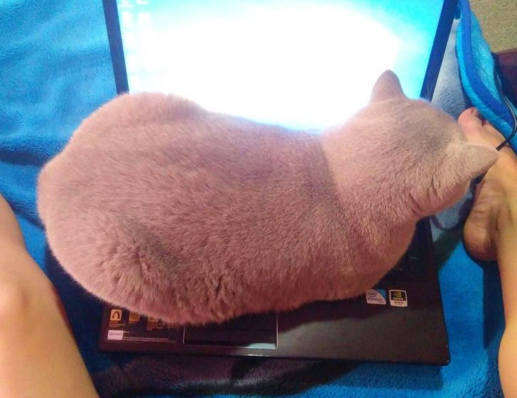 f356cc5596b8e7e394a2b80bff