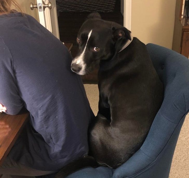 f359265e048c5074504e6762b5