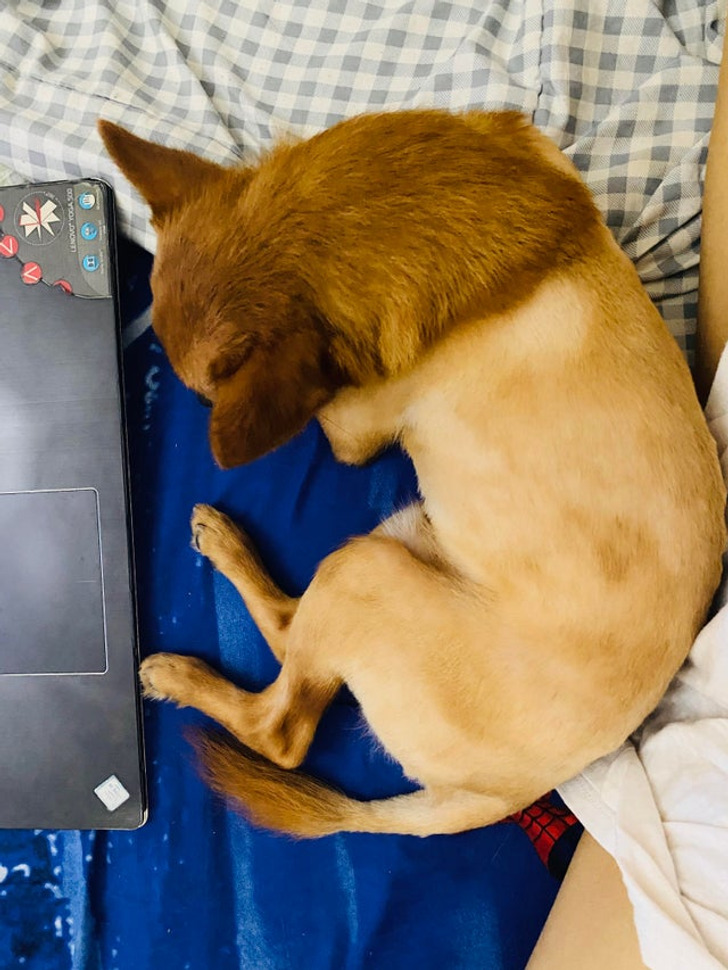 f363705feaa8470c19985a3e43