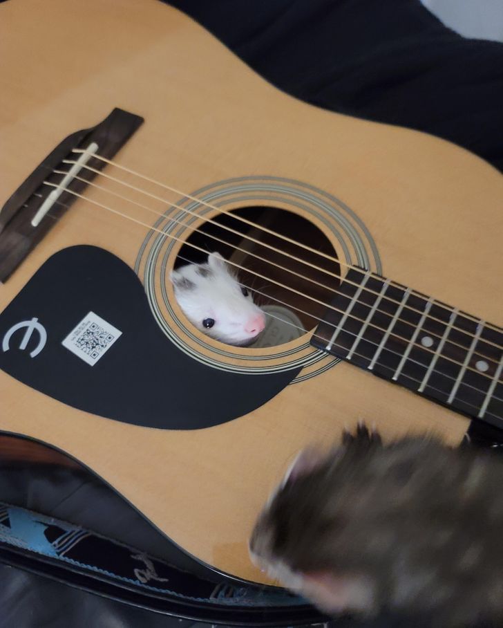 f366775025ac0f3b3f95c7cd26