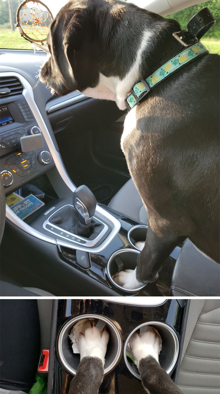 f36bea5a4a96ccabdd955e3af4