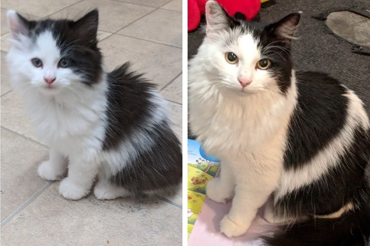 f36f415d1e89aec2340a7ce94b