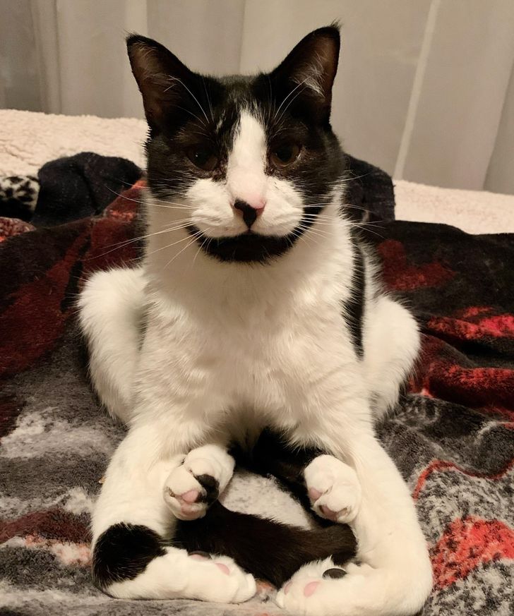 f37d345a5fa57fd990831a5c47