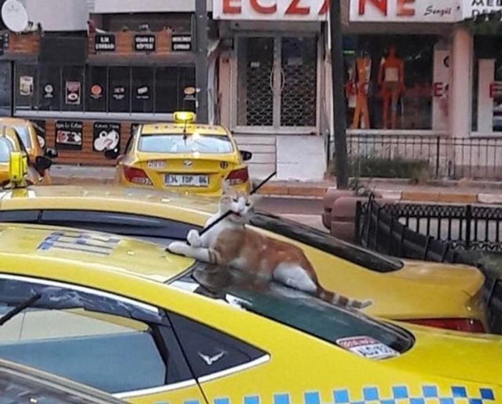 f38cbe5b4fbfdf9bb3f10a5300