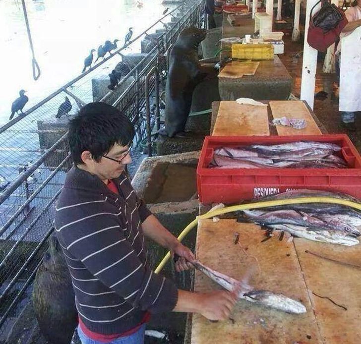 f3915b55f98fe914421d4aa7f2