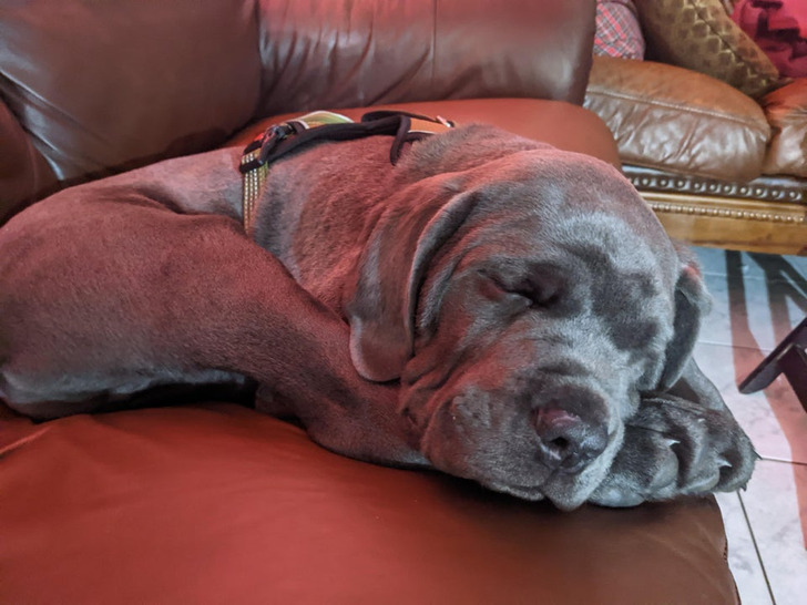 f395cd53cc88cee8df4776bfc4