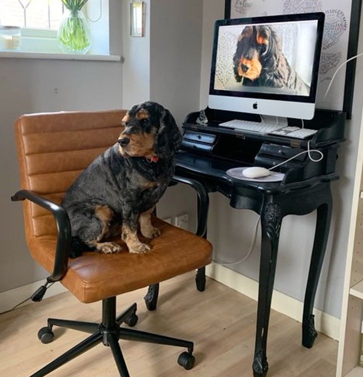 f396d0531094c0b9802644a5fb