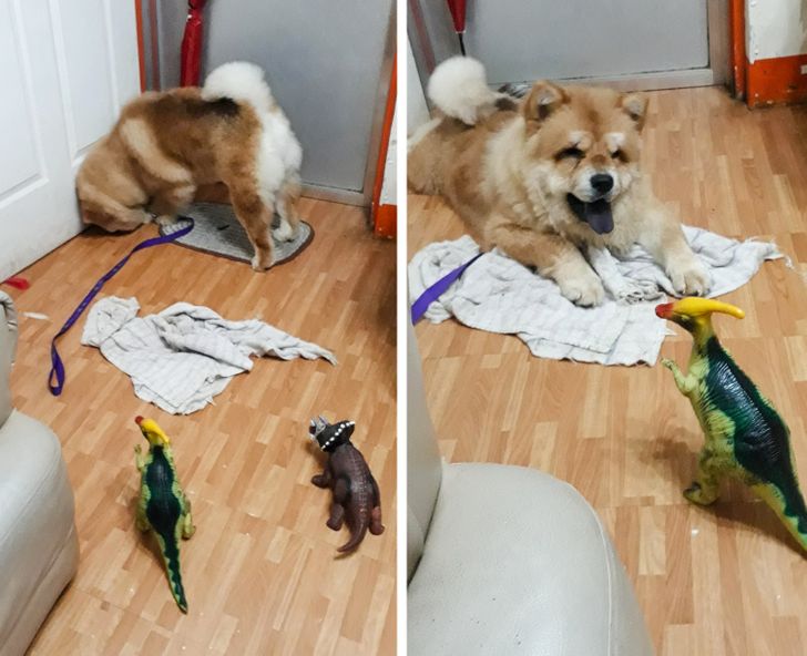 f3978850c18cef9ea1cb154469