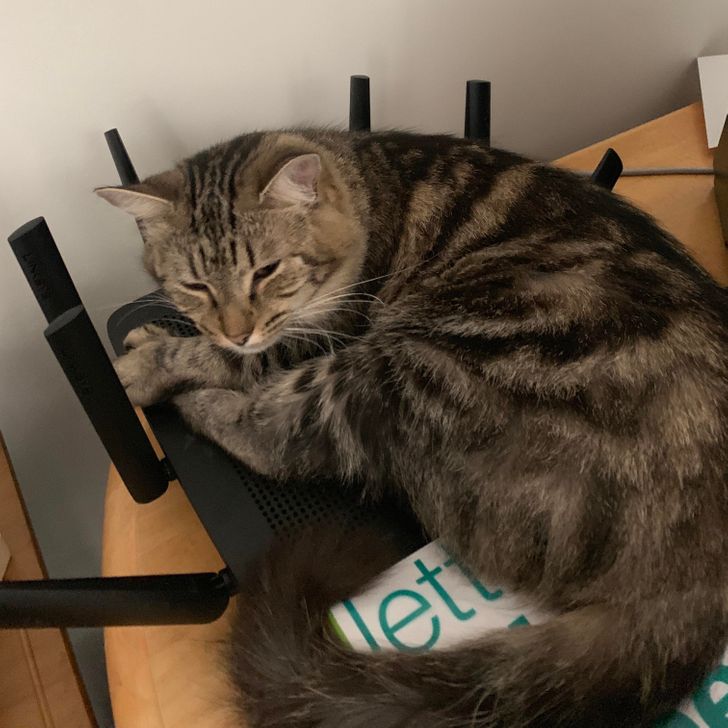 f39fbc59a98fc6921be3c7b08d