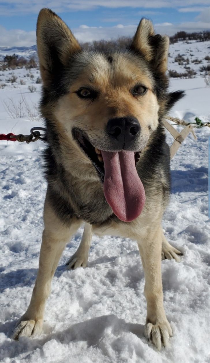 f3a033503c93fbe5531f79fd13