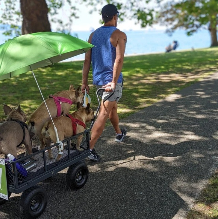 f3a61a555f94b23faad09ef4c9