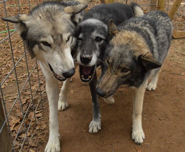 f3a6e85080a736ea7bc33d59ac