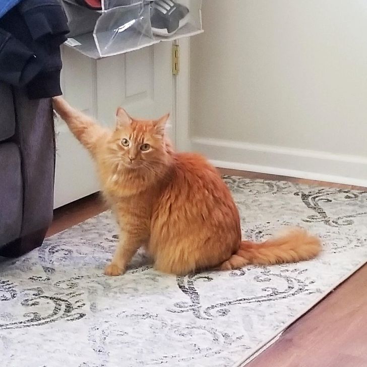 f3a6f754a99fa058c5ba3546f6