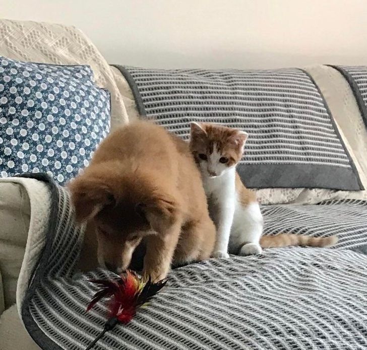 f3aa40535f9db4d9201debee21