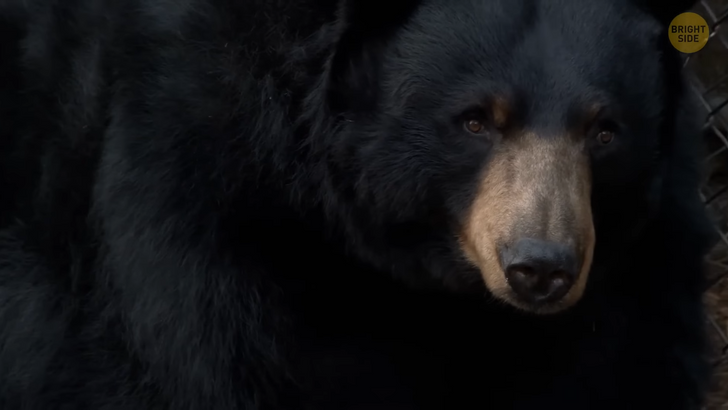 f3ad5e5ef9a4d6f8980de7db96