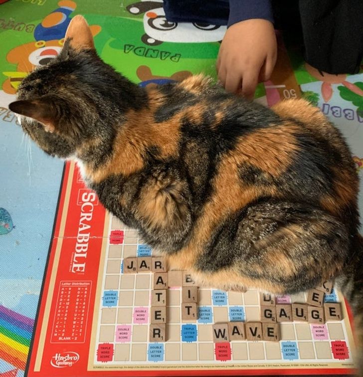 f3bb1058e0979338989ccb0918